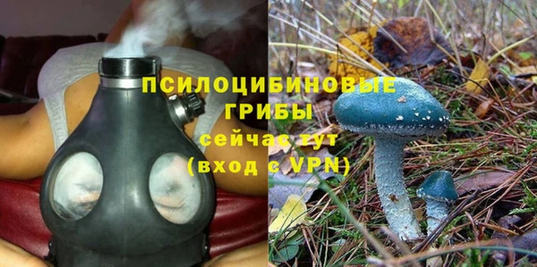 МДПВ Елизово