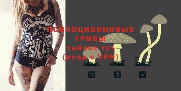 ешки Ельня