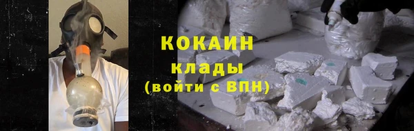 ешки Ельня