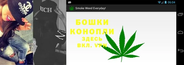 МДПВ Елизово