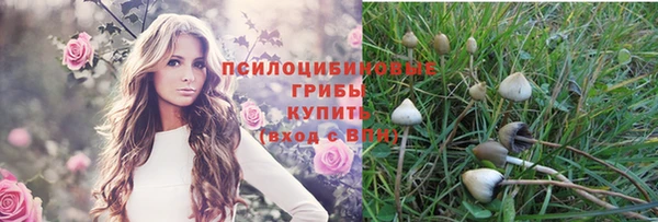 ешки Ельня