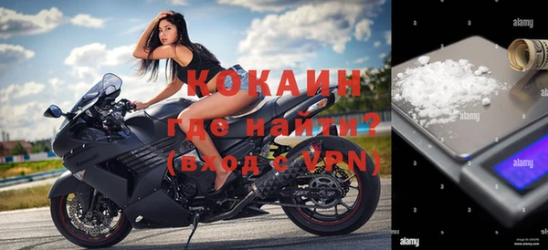 ешки Ельня