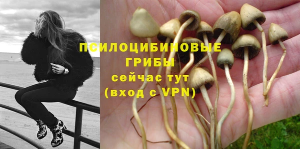 а пвп мука Елабуга