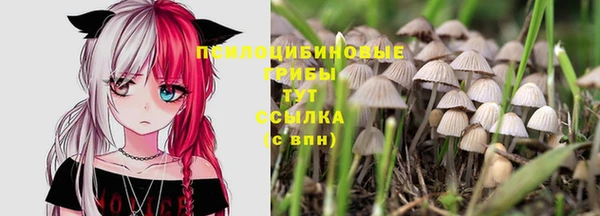 ешки Ельня